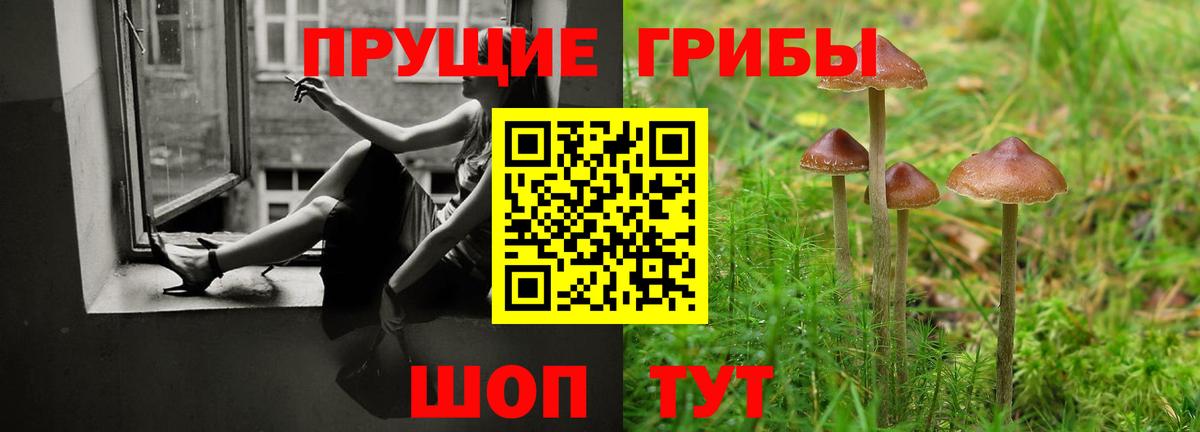 Галлюциногенные грибы мицелий  Галлюциногенные грибы MAGIC MUSHROOMS  Сургут  Вход с VPN 